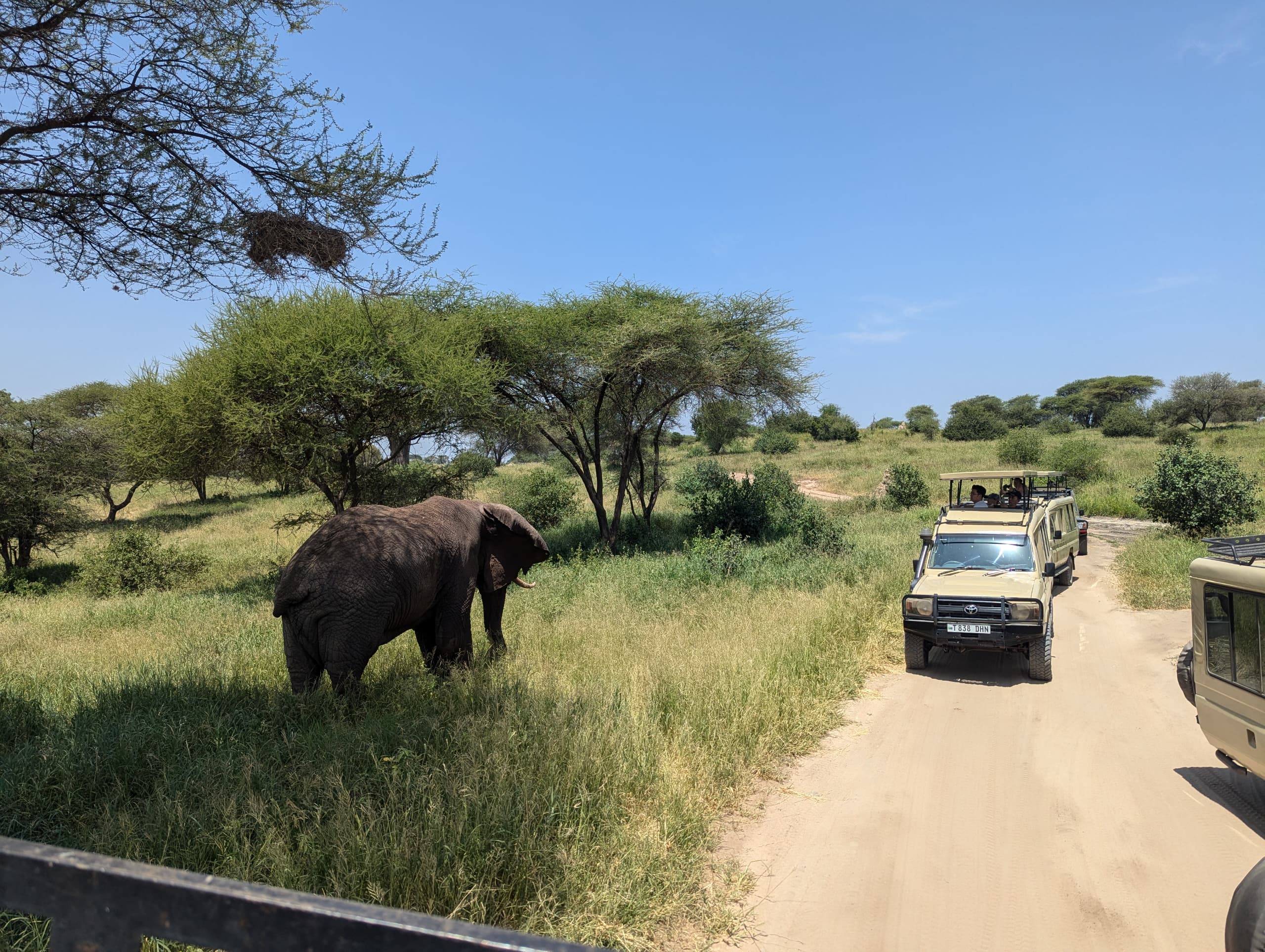 Premium 3-Day All-Inclusive Tanzania Safari